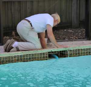 seffner fl and brandon fl pool cleaning and repair