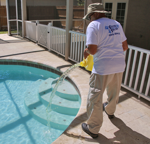 professional pouring chlorine in dirty pool in seffner fl